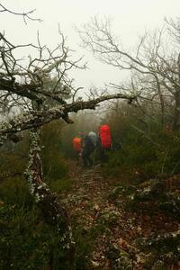 ambiance montagne ambiance montagne