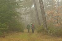 dans le brouillard dans le brouillard